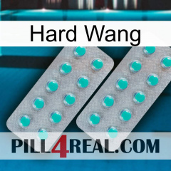 Hard Wang 29